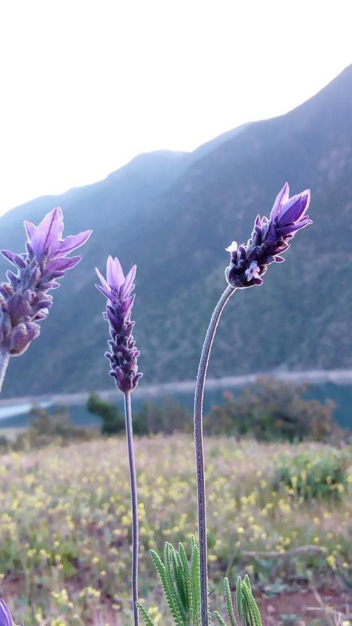 ويرڭان Gite Du Lac المظهر الخارجي الصورة